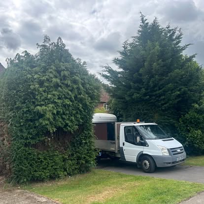 Hedge work