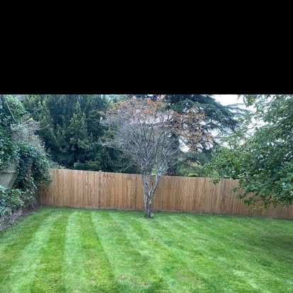 Lawn and timber boundary
